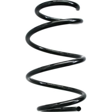 Spidan | Fahrwerksfeder | 86877