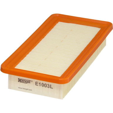 E1003L Luftfilter