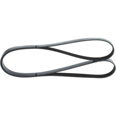 1 987 946 259 Keilrippenriemen