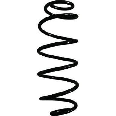 Spidan | Fahrwerksfeder | 55590