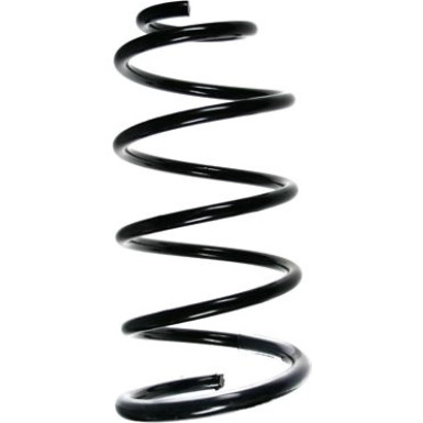 Spidan | Fahrwerksfeder | 56079