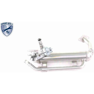 V10-63-0100 Kühler, Abgasrückführung EXPERT KITS +