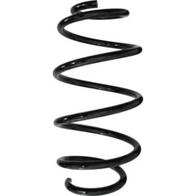 Spidan | Fahrwerksfeder | 85638