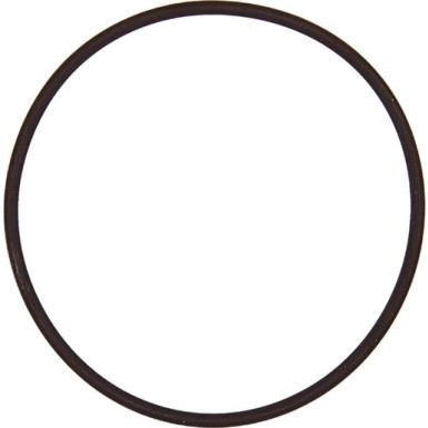 A2C59516960 Dichtung