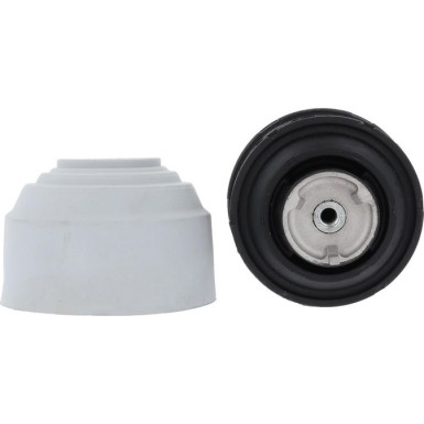 Corteco | Lagerung, Motor | 80000393
