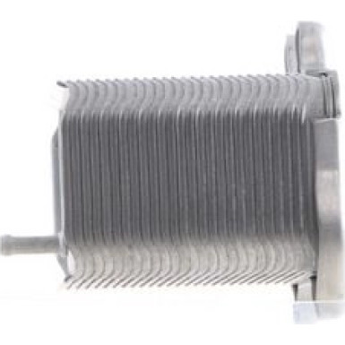 Mahle | Ölkühler, Motoröl | CLC 156 000S