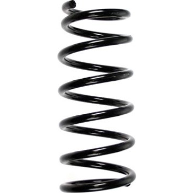 Spidan | Fahrwerksfeder | 55896