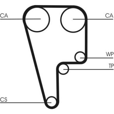 CT1102 Zahnriemen