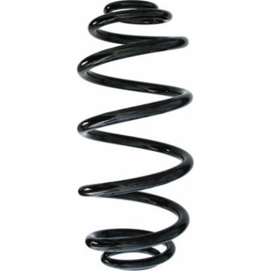 Spidan | Fahrwerksfeder | 87699