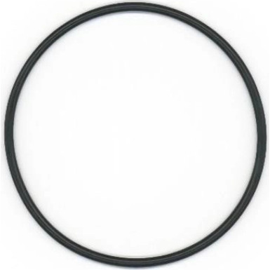 Elring | Dichtring | 493.270