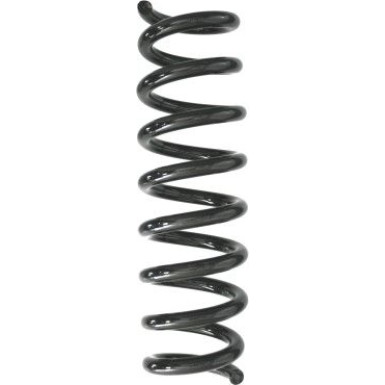 Spidan | Fahrwerksfeder | 87935
