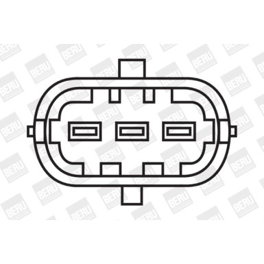 BorgWarner (BERU) | Zündspule | ZS337