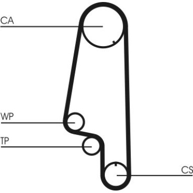 CT845 Zahnriemen