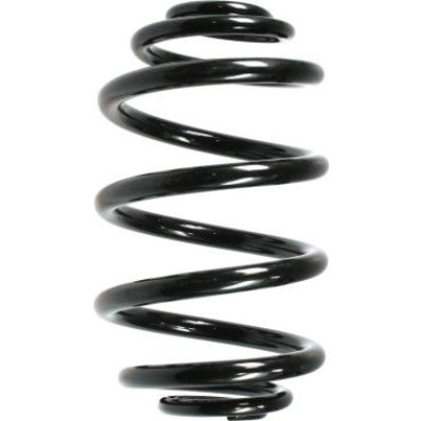 Spidan | Fahrwerksfeder | 55073