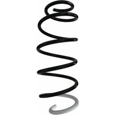 Spidan | Fahrwerksfeder | 87399