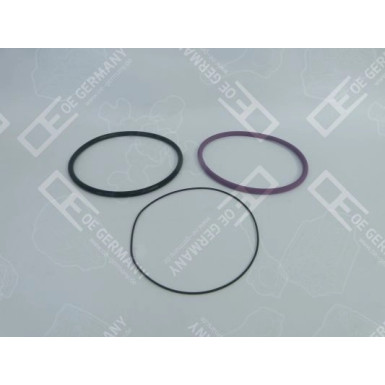 OE Germany Dichtscheibe 03 0111 070000