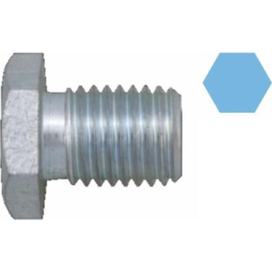220149S Verschlussschraube, Ölwanne