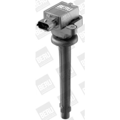 BorgWarner (BERU) | Zündspule | ZS337