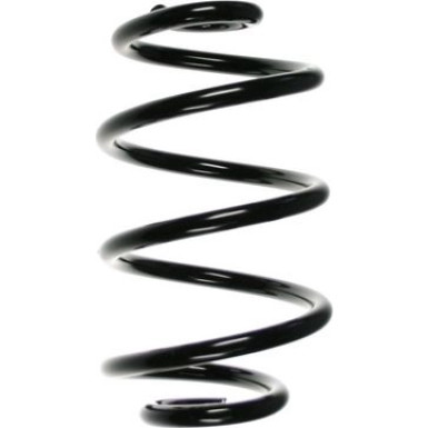Spidan | Fahrwerksfeder | 85295