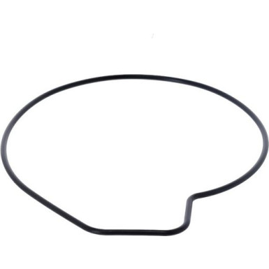 529343 Wasserpumpe, Motorkühlung 529343 Wasserpumpe, Motorkühlung