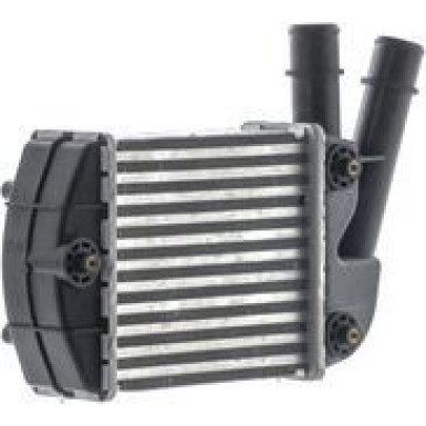 CI 685 000S Ladeluftkühler BEHR