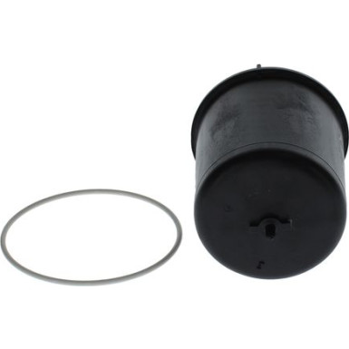BOSCH F 026 407 119 Ölfilter BOSCH F 026 407 119 Ölfilter