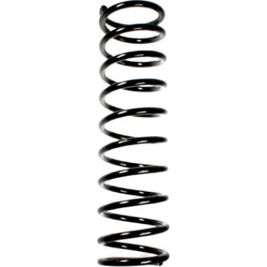 Spidan | Fahrwerksfeder | 49349