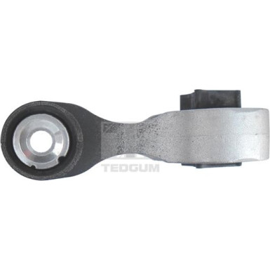 Tedgum | Lagerung, Motor | 00507121