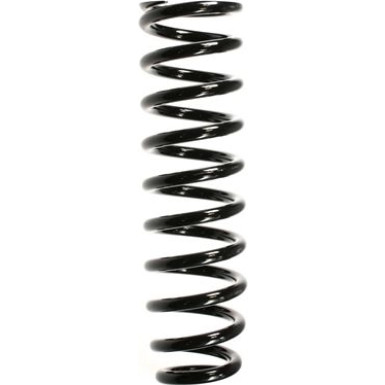 Spidan | Fahrwerksfeder | 55384