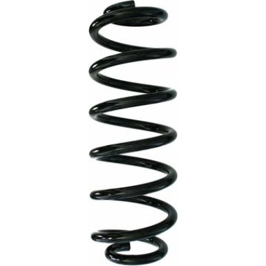 Spidan | Fahrwerksfeder | 87849
