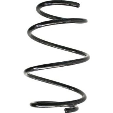 Spidan | Fahrwerksfeder | 56973