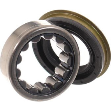 SKF | Radlagersatz | VKBA 6681