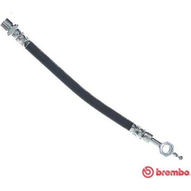 Brembo | Bremsschlauch | T 83 117
