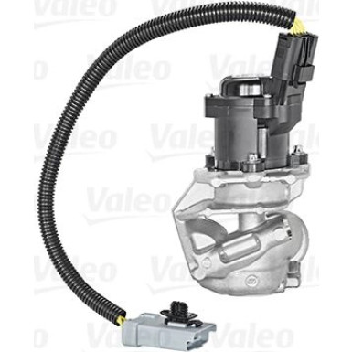 Valeo | AGR-Ventil | 700409