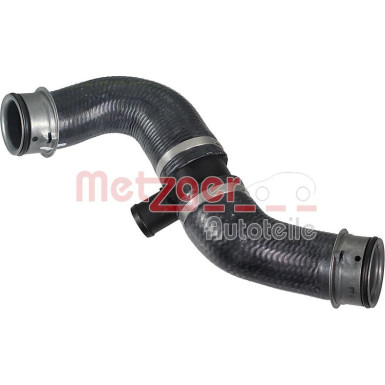 2421856 Kühlerschlauch 2421856 Kühlerschlauch