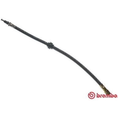 Brembo | Bremsschlauch | T 61 017
