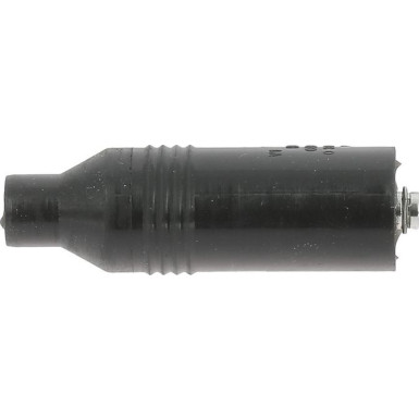 BorgWarner (BERU) | Stecker, Zündspule | VES105