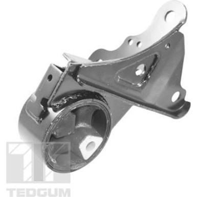 Tedgum | Lagerung, Motor | 00131530