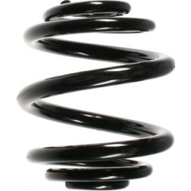 Spidan | Fahrwerksfeder | 56903