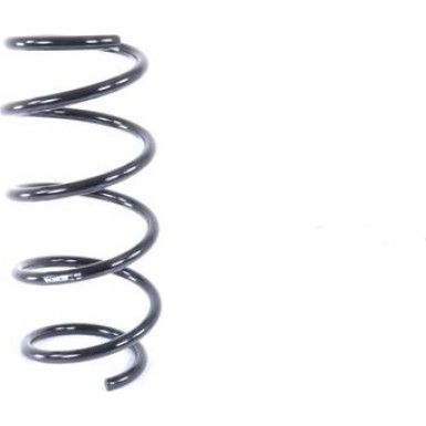 Monroe | Fahrwerksfeder | SP2895