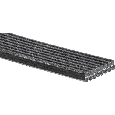 8DPK1445 Keilrippenriemen Micro-V®