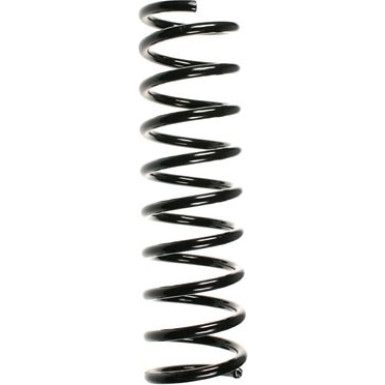 Spidan | Fahrwerksfeder | 55108