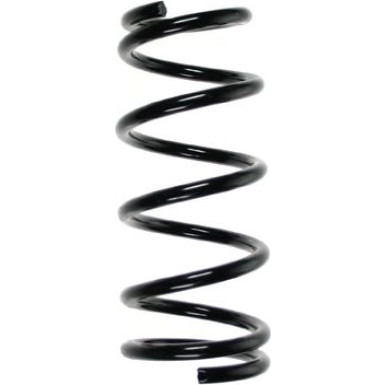 Spidan | Fahrwerksfeder | 55459