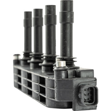 CE10000-12B1 Zündspule