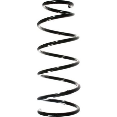 Spidan | Fahrwerksfeder | 55913