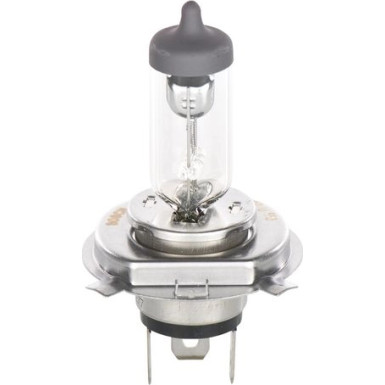 1 987 302 041 Glühlampe, Hauptscheinwerfer Pure Light WS