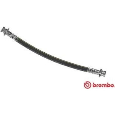 Brembo | Bremsschlauch | T 56 139
