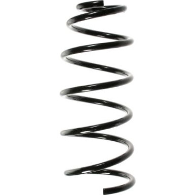 Spidan | Fahrwerksfeder | 49551