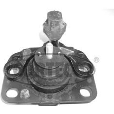 Corteco | Lagerung, Motor | 21652471