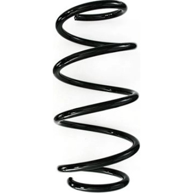 Spidan | Fahrwerksfeder | 87966